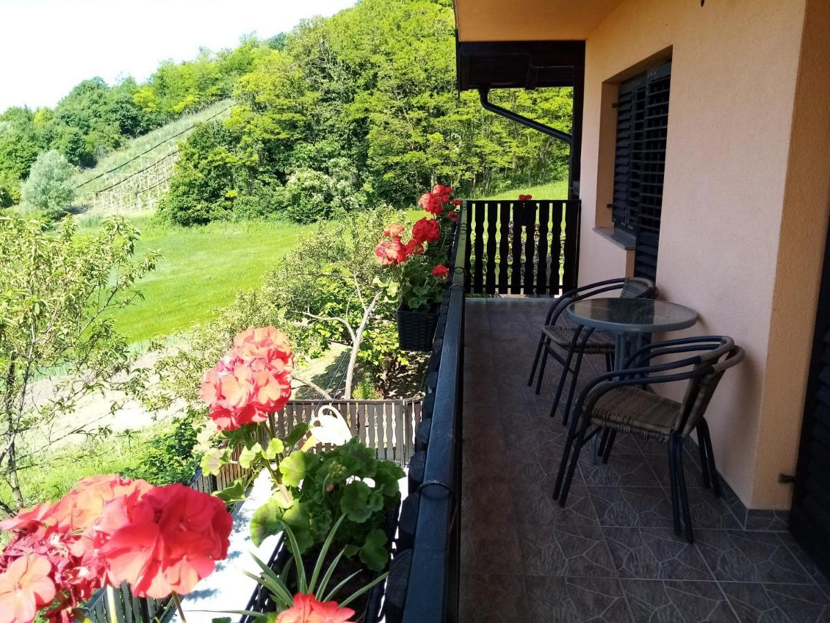 Apartman Potocki Krapina Exteriér fotografie