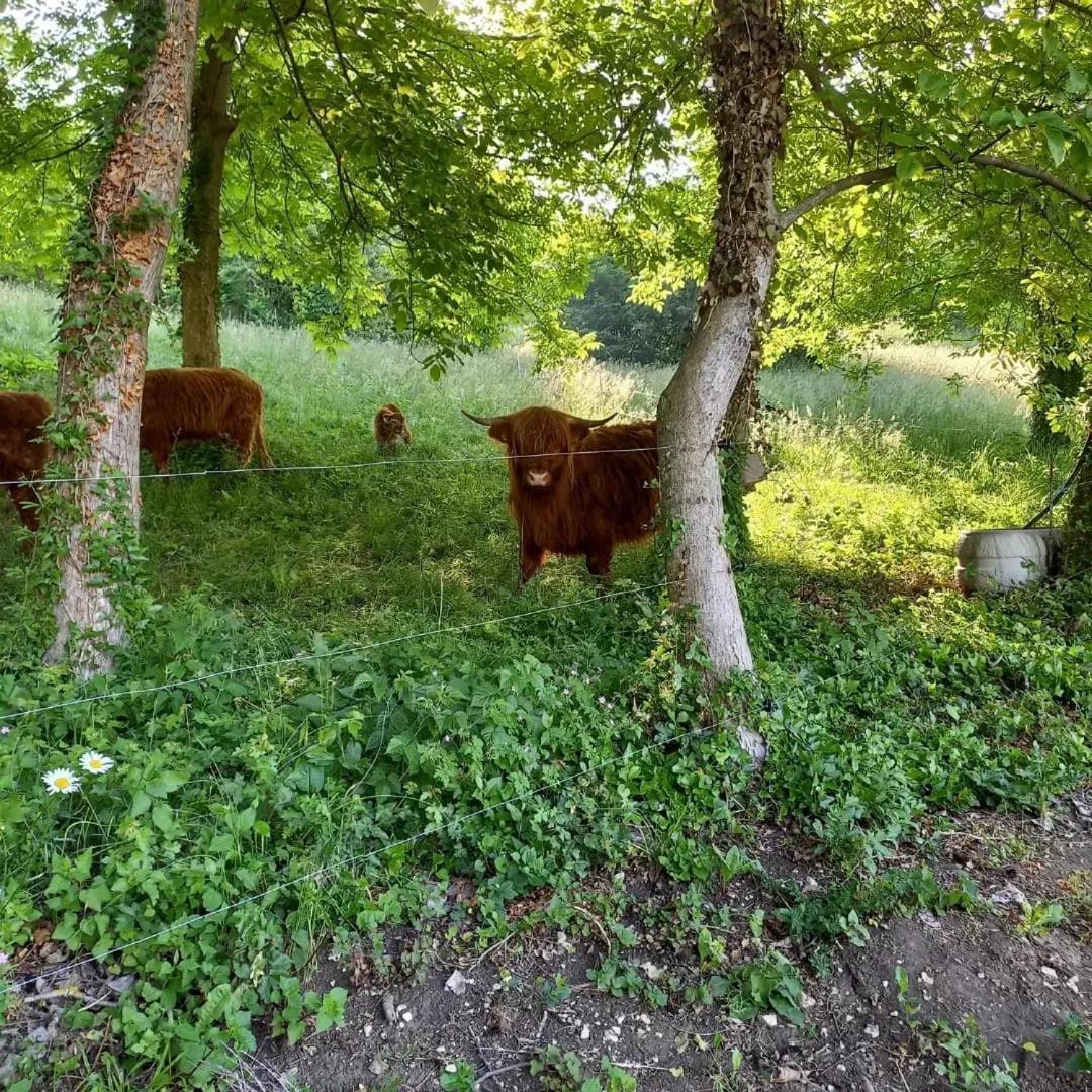 Apartman Potocki Krapina Exteriér fotografie