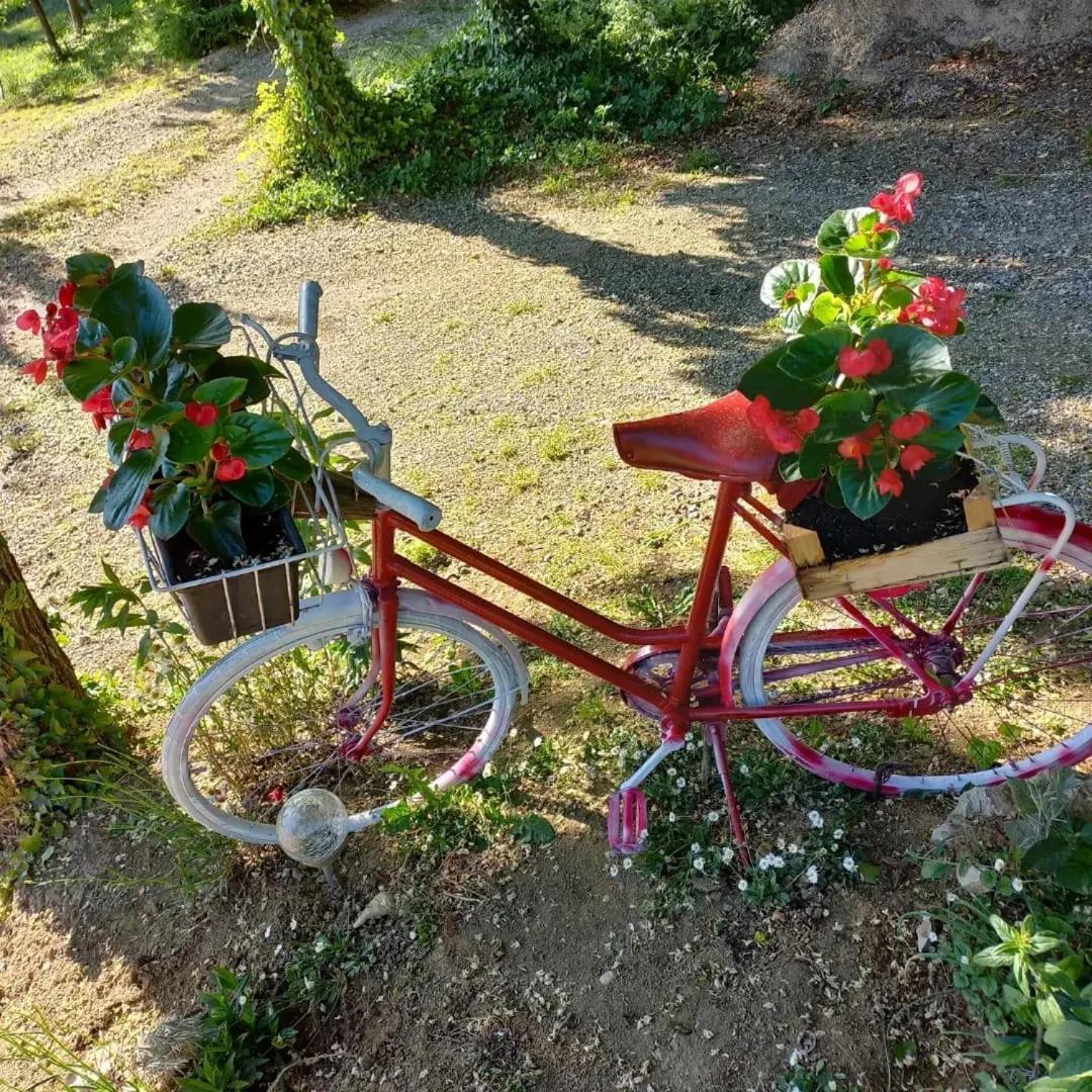 Apartman Potocki Krapina Exteriér fotografie
