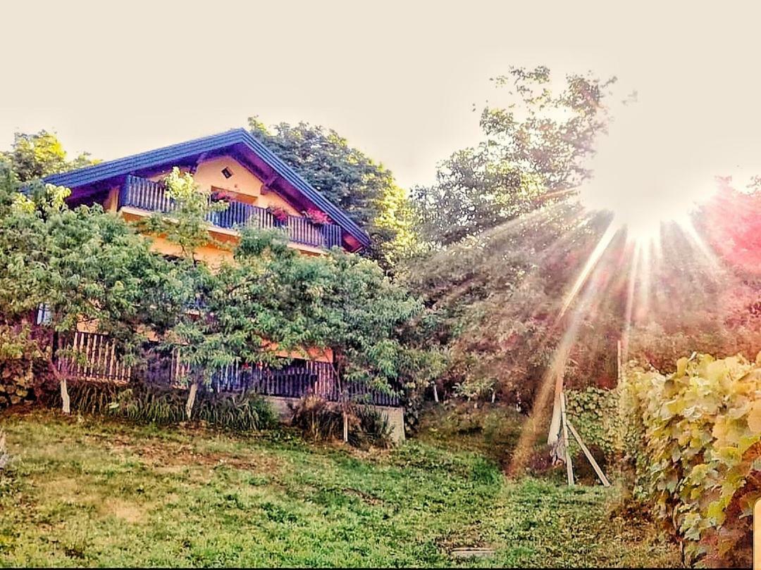 Apartman Potocki Krapina Exteriér fotografie