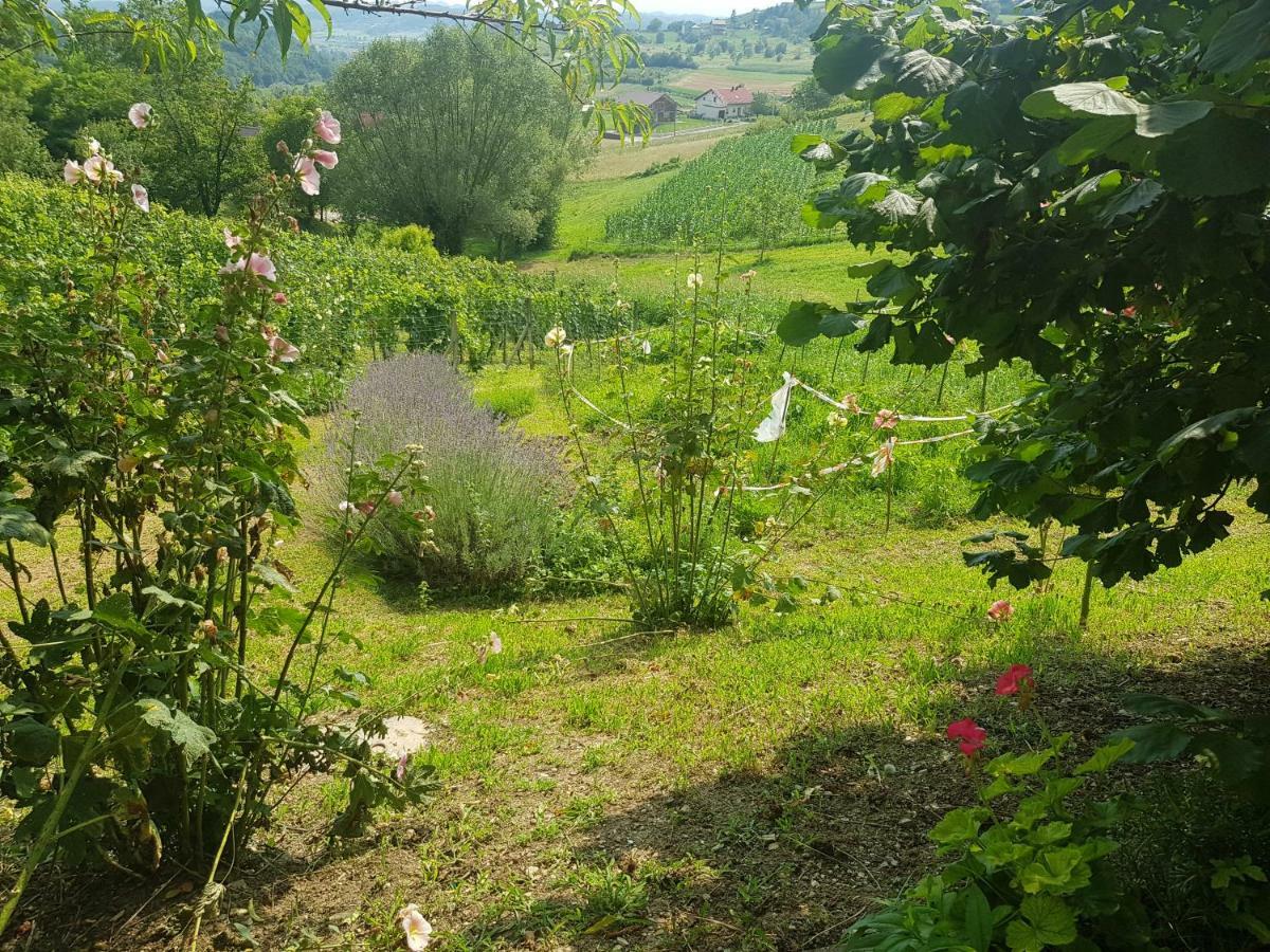 Apartman Potocki Krapina Exteriér fotografie