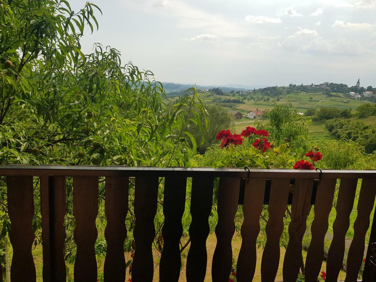 Apartman Potocki Krapina Exteriér fotografie