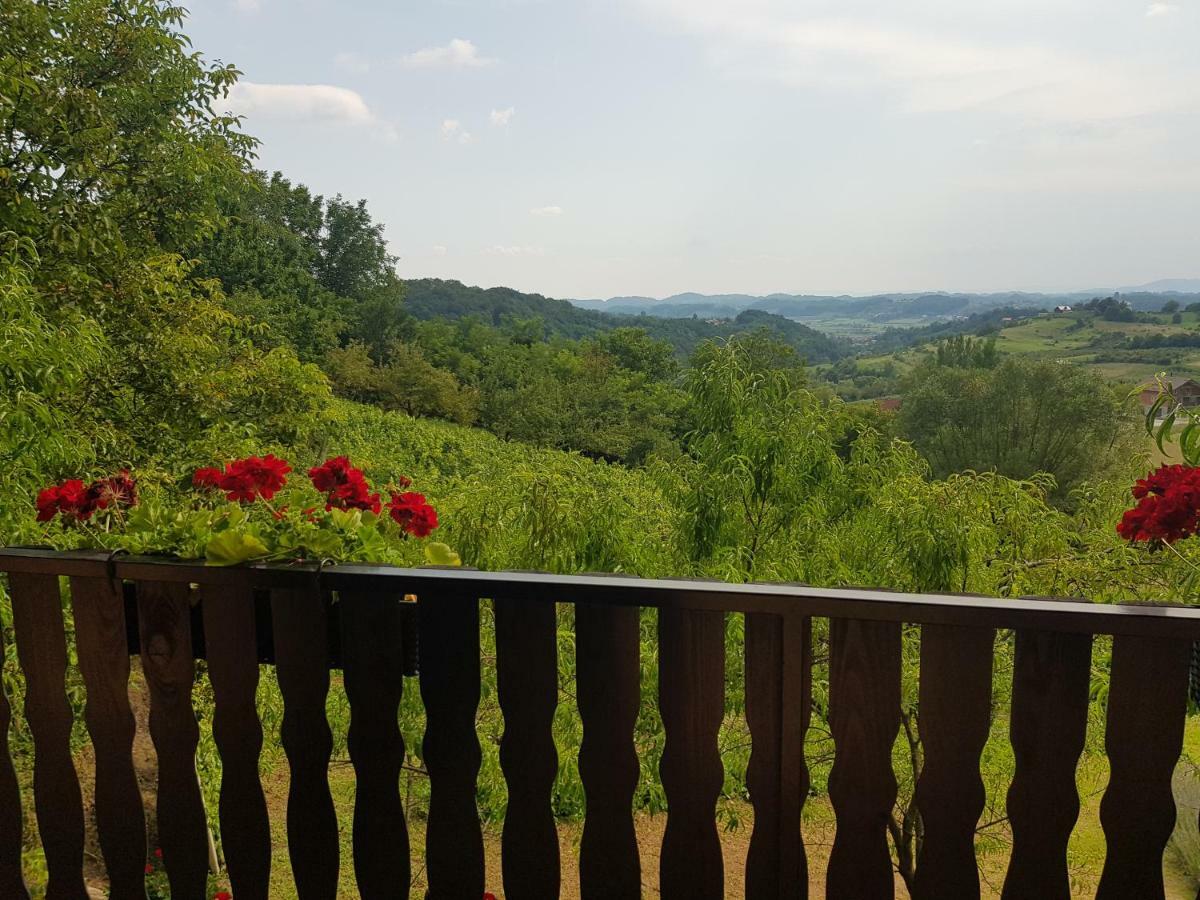 Apartman Potocki Krapina Exteriér fotografie